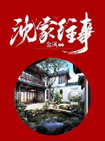 沈家往事第十章免费阅读全文