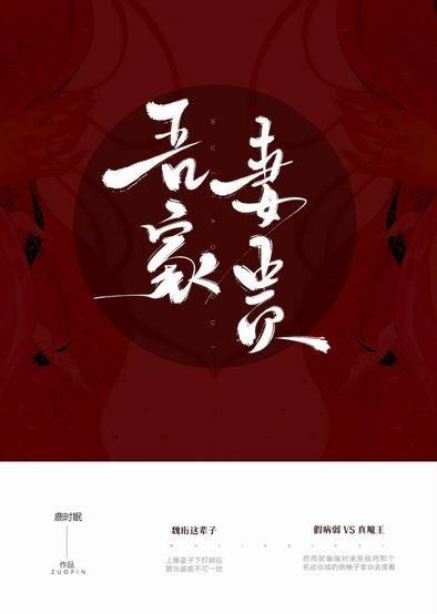 吾家妻贵txt
