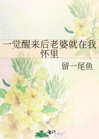 一觉醒来后老婆就在我怀里_留一尾鱼