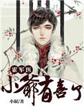 霍医生小爷有喜了txt