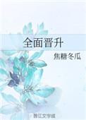全面升级什么意思