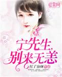 宁先生别来无恙宋小染