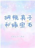 胡桃夹子和绿宝石讲的什么
