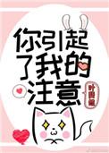 你引起了我的注意电视