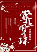 掌上明月珠番外篇