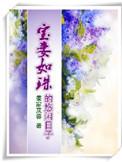 宝妻全文