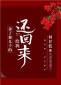拿了我儿子的给我还回来作者何甘蓝