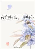 夜色归我我归你言峤九TXT