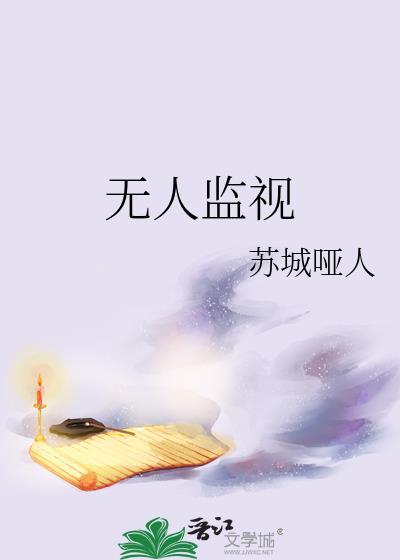 无人监视无防盗