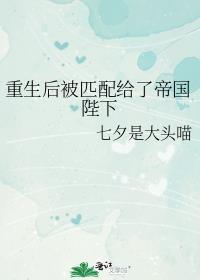 重生后被匹配给了帝国陛下TXT百度网