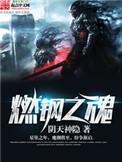 燃钢之魂 txt