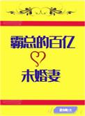 霸道总裁百万