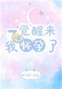 一觉醒来我怀孕了作者噤若寒单