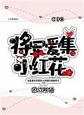 将军爱集小红花全文