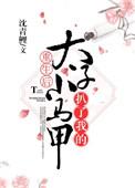 重生后太子拔了我的小马甲乐文