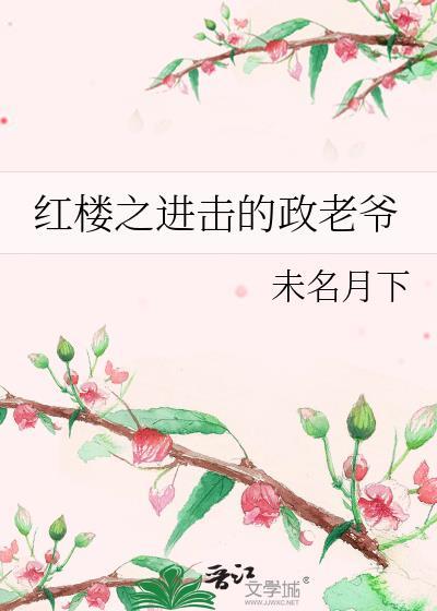 红楼之政二老爷的跑偏之路