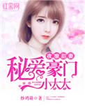 夜撩甜妻秘爱豪门小太太TXT