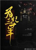 为妃三十年TXT百度
