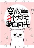 穿成三个大佬的白月光免费阅读无弹窗