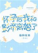 怀孕后我和影帝离婚了百度文