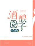 酒酿圆子好甜呀全文免费阅读资源