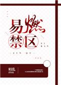 易燃禁区全文无防盗