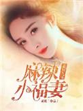 重生九零麻辣小神医