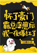 怀了豪门霸总的崽后我一夜爆红了且