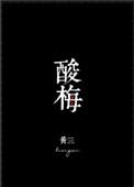 酸梅txt盘全文
