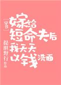 嫁给短袖(重生)结局