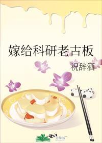 嫁给中科院博士