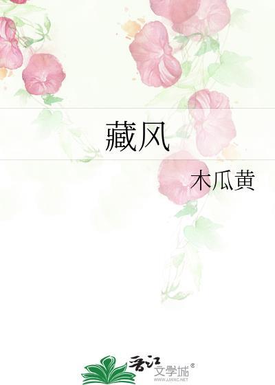 藏风免费阅读