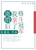 离婚后我拿了格斗冠军百度