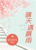 晴天遇暴雨TXT