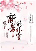 成了新帝的外室趣书网