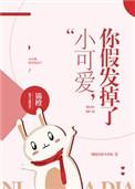 小可爱你假发掉了txt百度