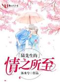陆先生的情之所至怎么样