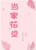 当家花旦txt