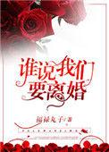 谁说我们要离婚 作者福禄丸子