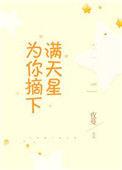 为你摘下满天星辰歌词