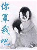 你罩我吧 完结 番外