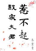 我家夫君惹不起简介