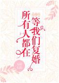 所有人都在等我们复婚番外