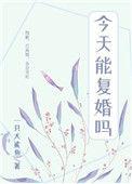 前夫每天都要复婚全文免费阅读