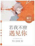 若不曾遇见你 sd