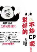 说好的不炒cp呢排雷