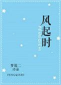 风起时想你歌词