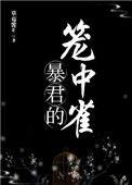 她飞了 星辰入怀