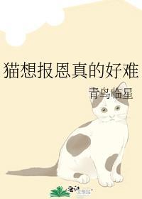 猫想报恩真的好难by青鸟临星txt