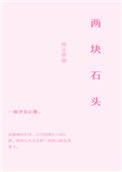 两块石头的寓言动画片